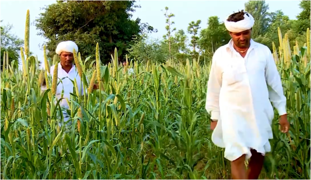 बेस्ट परफॉर्मिंग स्टेट राजस्थान